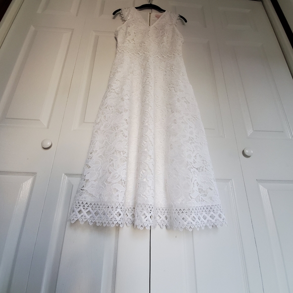 NEW Ted Baker London Questy Sleeveless Lace Dress - Picture 4 of 16